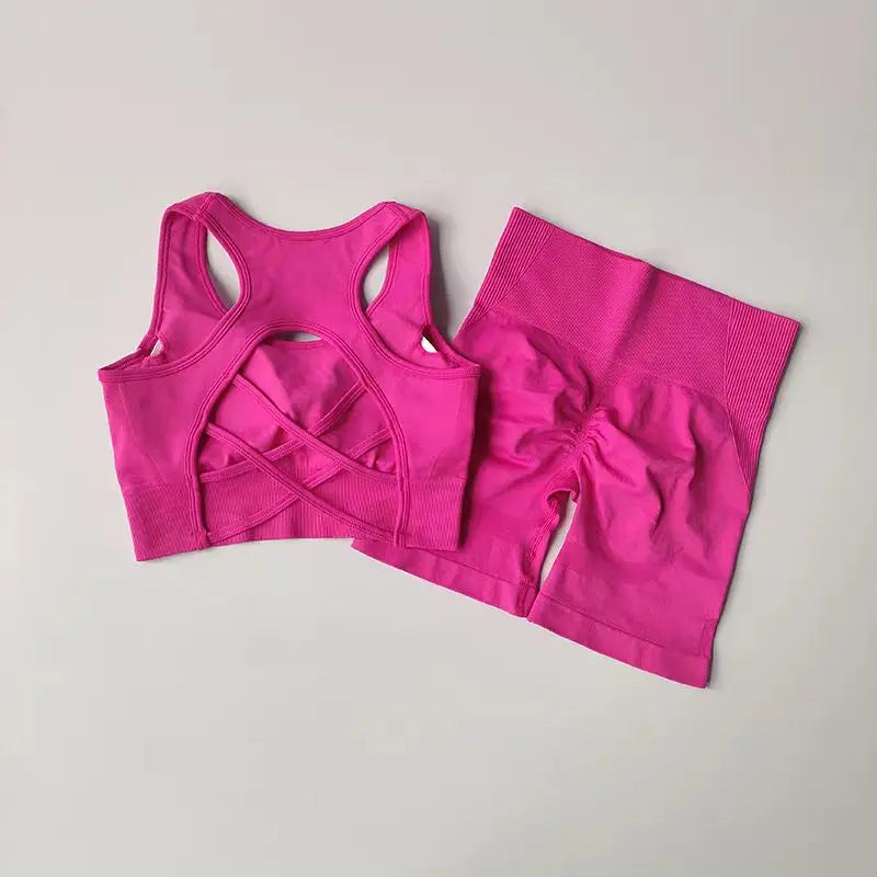 Womens Seamless Yoga Set Sport Bra + High Waist Shorts